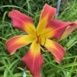 2018-004-01 2018-004-01