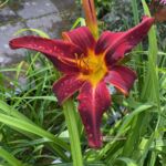 2018-024-02 2018-024-02