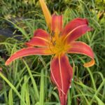 2018-039-04 2018-039-04