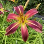 2018-042-05 2018-042-05