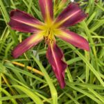 2018-043-06 2018-043-06