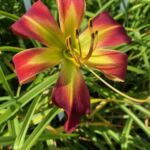 2018-047-04 2018-047-04