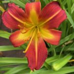 2018-047-05 2018-047-05