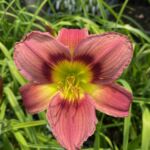 2018-050-04 2018-050-04