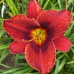 2018-063-03 2018-063-03