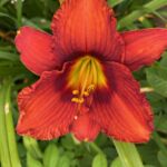 2018-063-06 2018-063-06