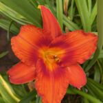 2018-065-01 2018-065-01