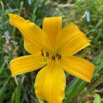 2018-077-01 2018-077-01