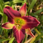 2018-082-03 2018-082-03