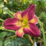 2018-082-08 2018-082-08