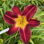 2018-085-04 2018-085-04