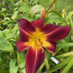 2018-085-06 2018-085-06