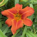 2018-090-01 2018-090-01