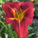 2018-096-01 2018-096-01