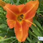 2018-098-01 2018-098-01