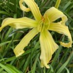 2018-100-02 2018-100-02