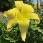 2018-102-01 2018-102-01