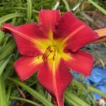 2018-112-01 2018-112-01