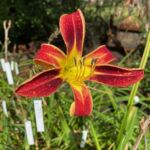 2018-116-04 2018-116-04