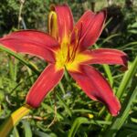 2018-117-01 2018-117-01