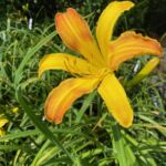 2018-127-04 2018-127-04