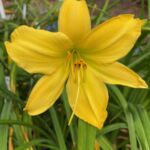 2018-129-01 2018-129-01