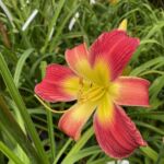 2018-129-02 2018-129-02