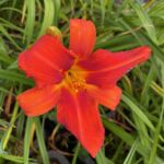 2018-133-03 2018-133-03