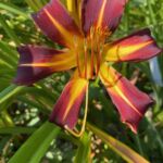 2018-134-03 2018-134-03