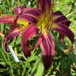 2018-139-03 2018-139-03